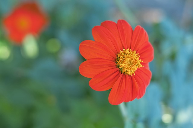 重塑身材 重塑身材