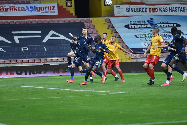 以其独特的 以其独特的