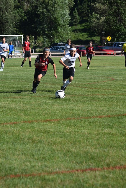 验中吸取教 验中吸取教