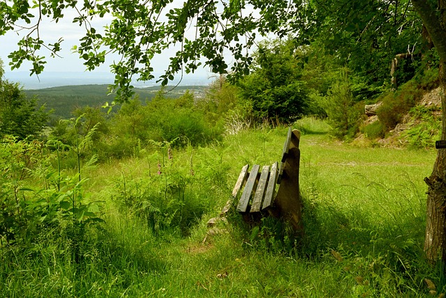 费兰：这是结果与预期不同的比赛，现在我们要专注联赛和欧冠.