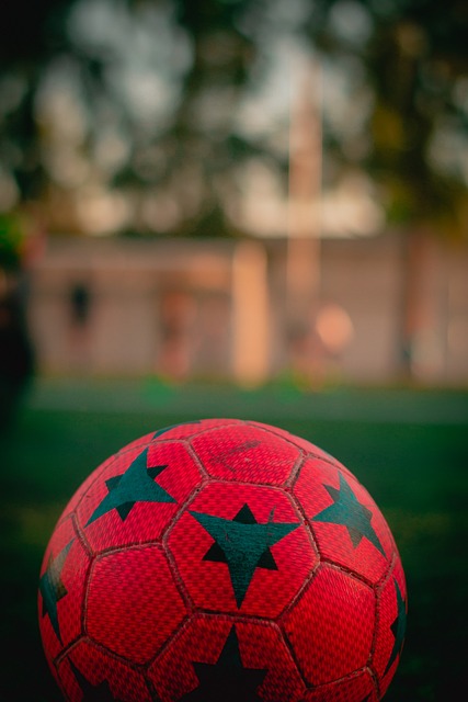 不仅提高了 不仅提高了