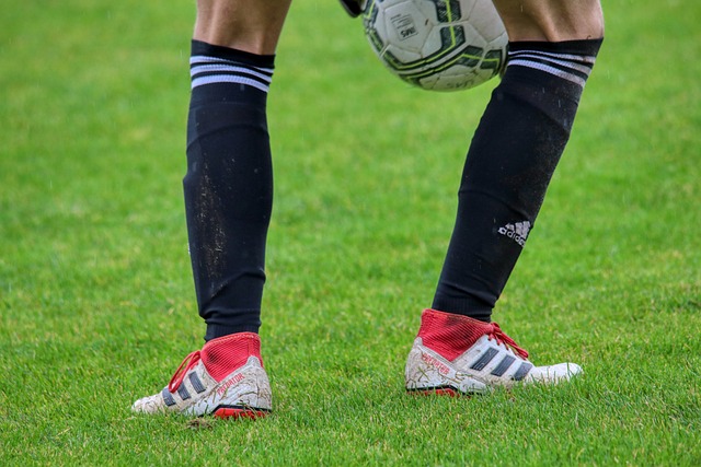 仅展现了他 仅展现了他