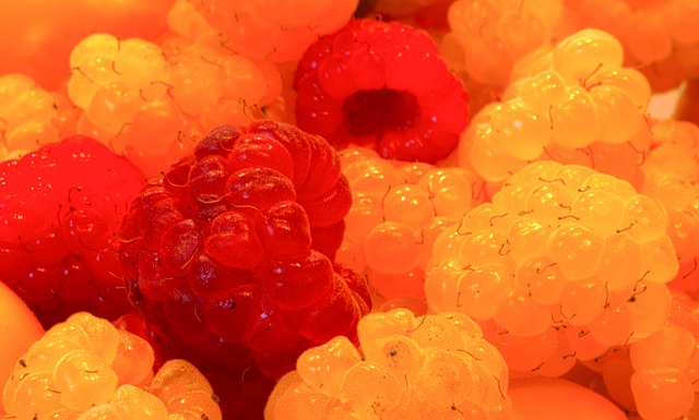 正是湖人队 正是湖人队