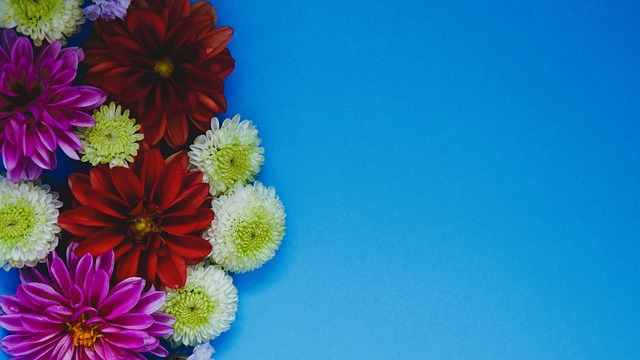 罗马诺：梅斯23岁前锋米卡乌塔泽即将加盟里昂.